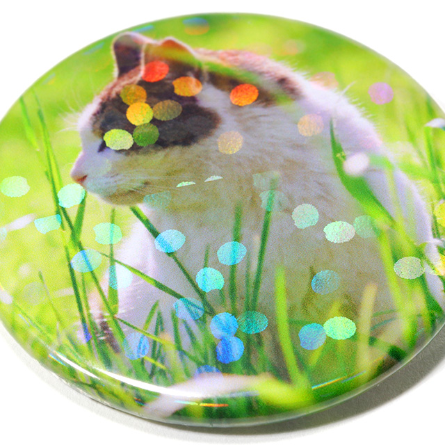 ホログラムの切れ目があります