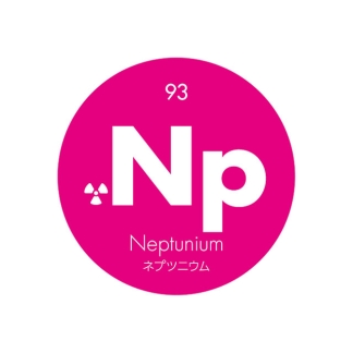 元素記号缶バッジ93【Np ネプツニウム】