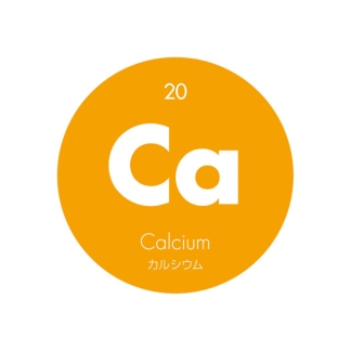 元素記号缶バッジ20【Ca カルシウム】